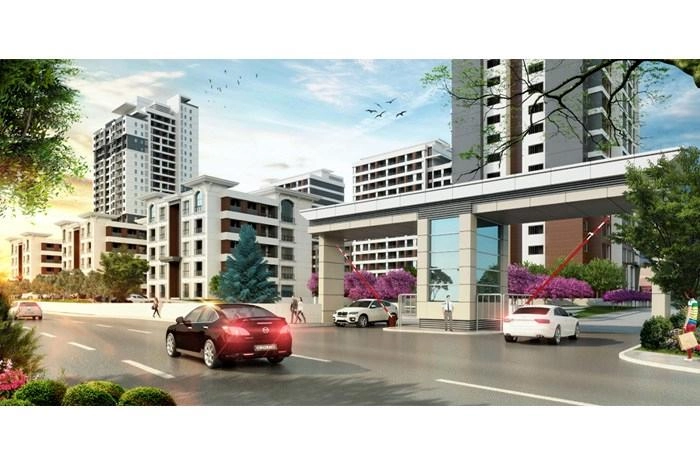 projects_photos