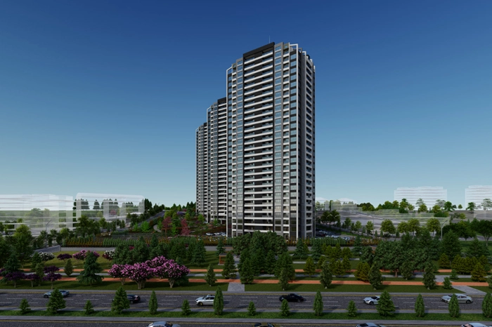 projects_photos
