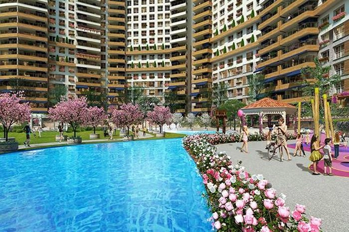 projects_photos
