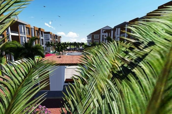 projects_photos