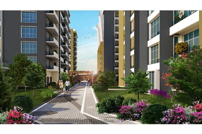 projects_photos