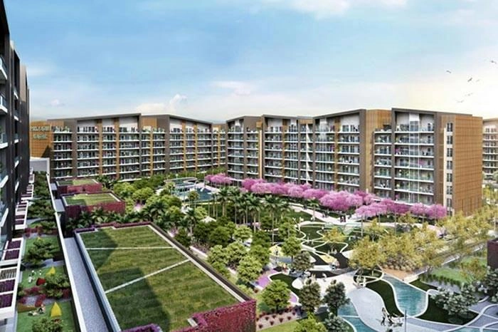 projects_photos