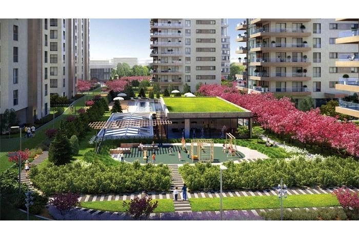 projects_photos