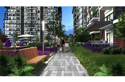 project_photos