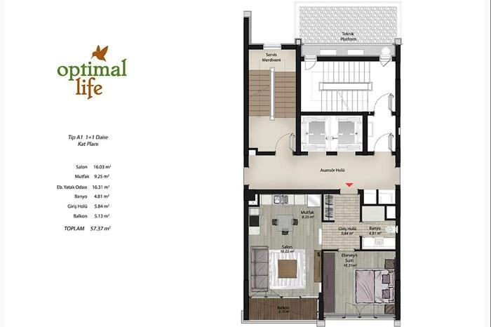 floorplan-turkey-i╠Зstanbul-anadolu-sancaktepe-optimal-life-daire-174210464616.webp