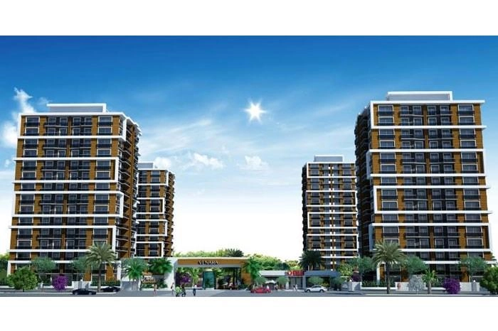 projects_photos