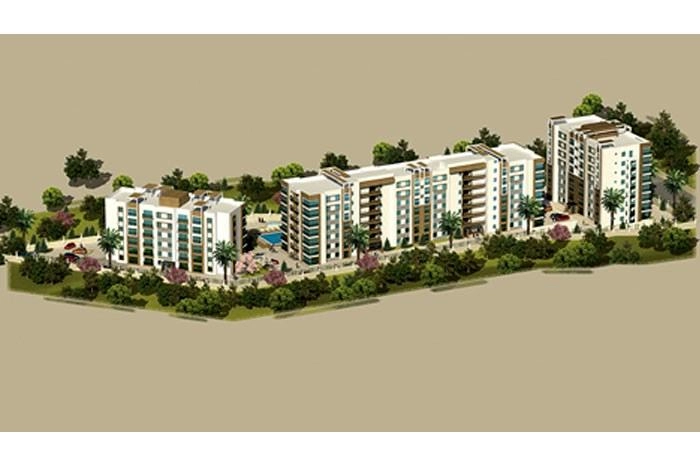projects_photos