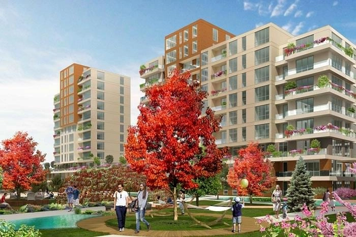 projects_photos