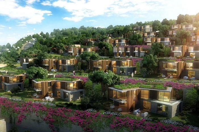 projects_photos