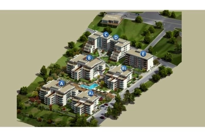 project_photos