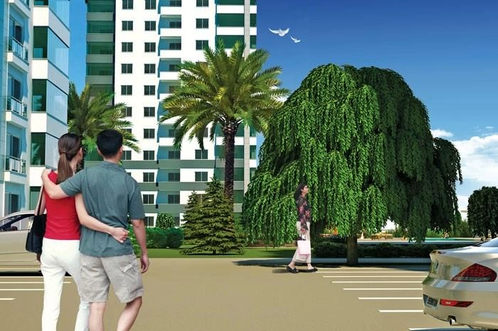 projects_photos