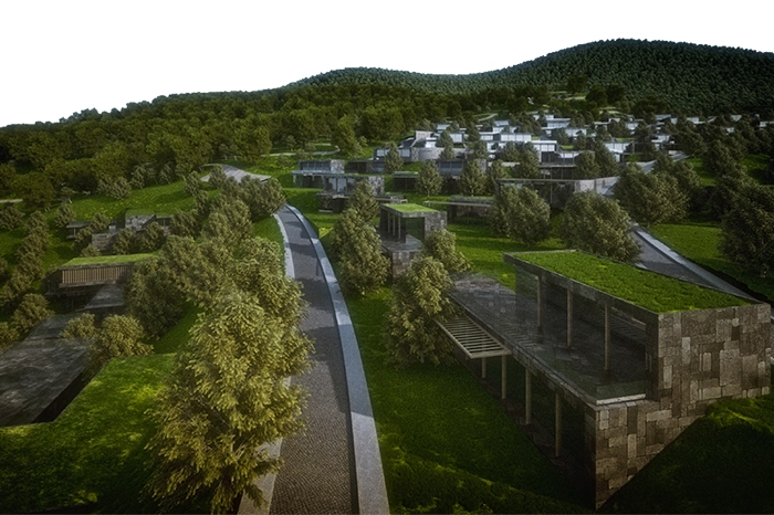 projects_photos