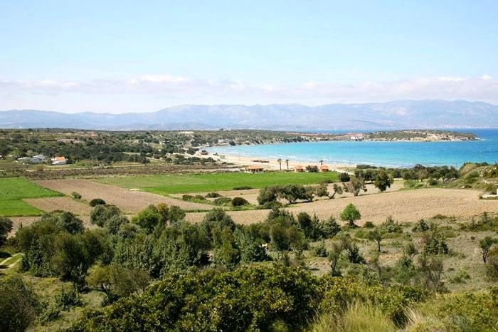 projects_photos