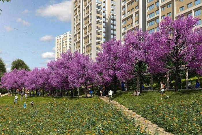 projects_photos