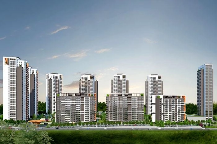 projects_photos