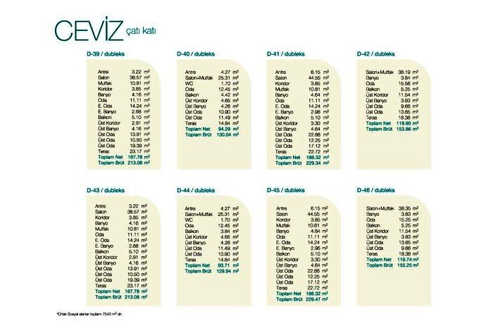 floorplan-turkey-i╠Зstanbul-anadolu-pendik-finia-pa┼Яapark-daire-1742108951107.webp