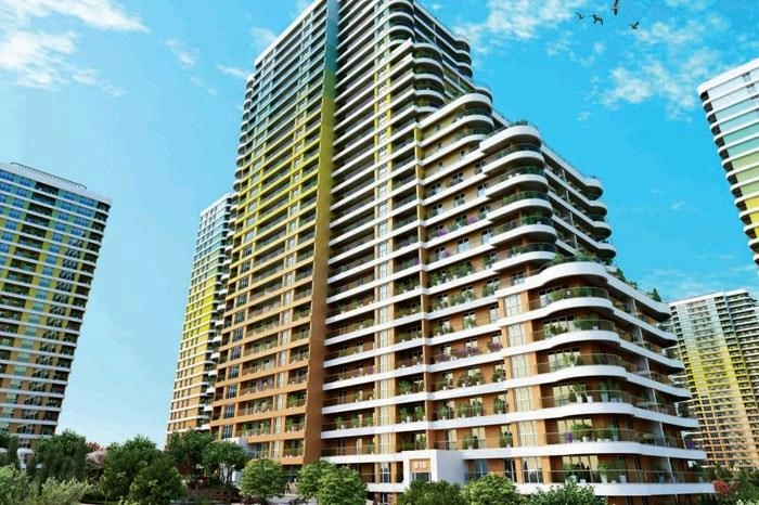 projects_photos