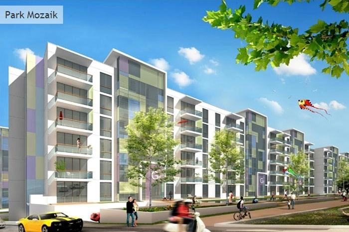 projects_photos