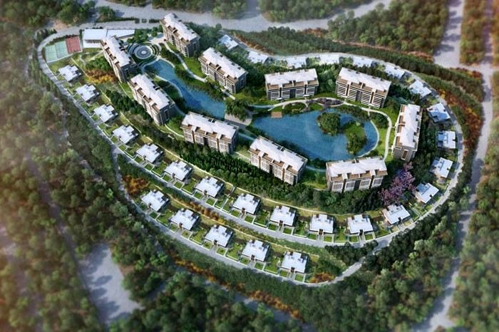 projects_photos