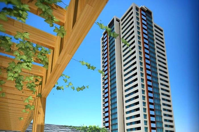 projects_photos