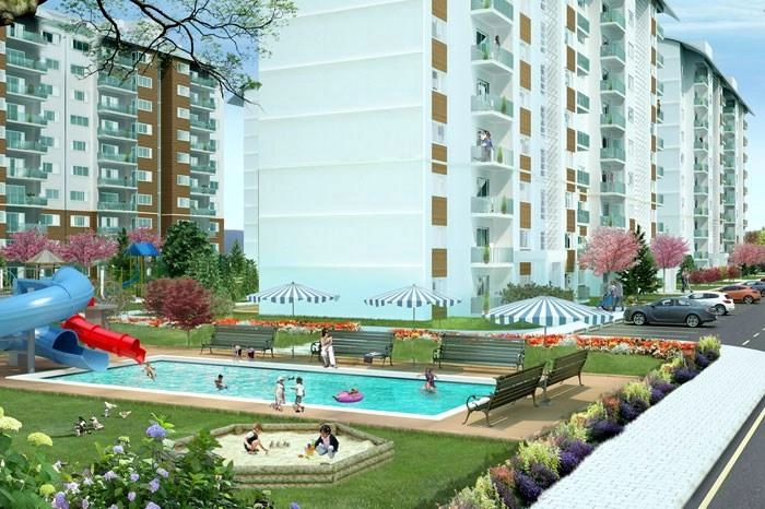 projects_photos