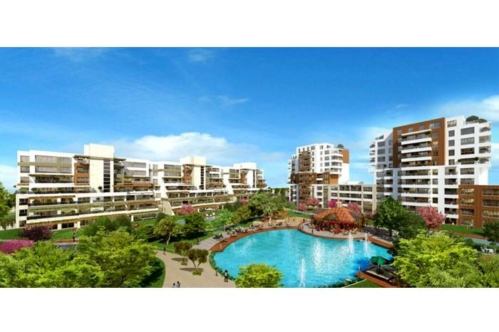 projects_photos