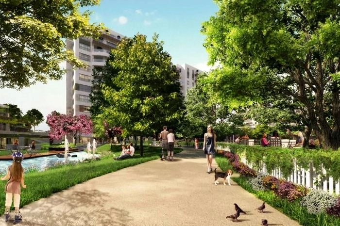 projects_photos