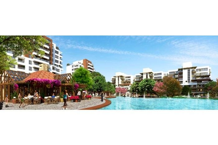 projects_photos