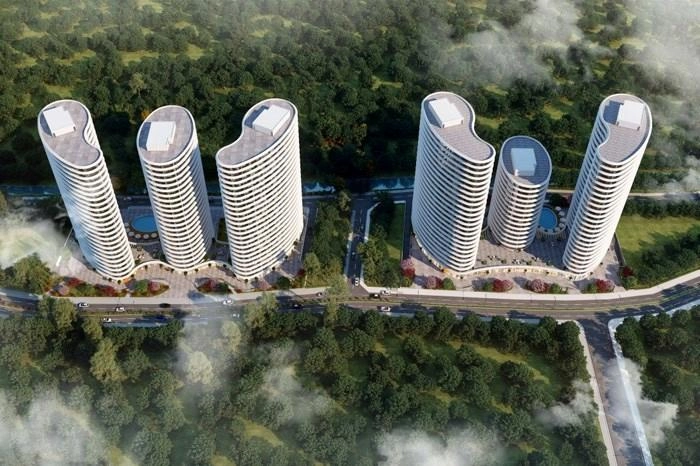 projects_photos