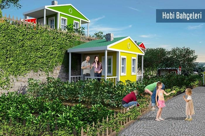 projects_photos