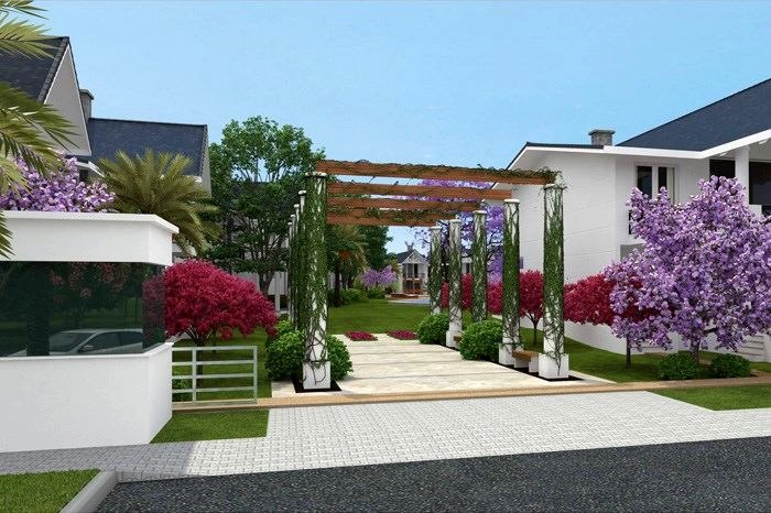 projects_photos