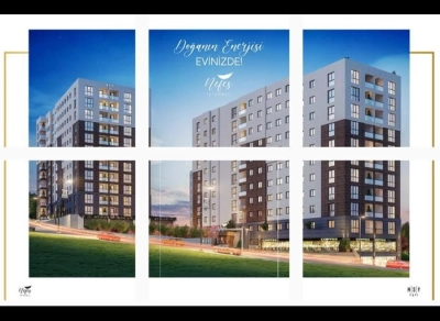 project_photos