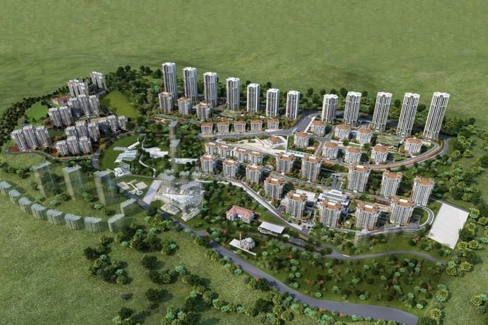 projects_photos