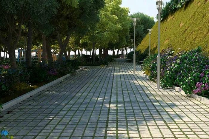 projects_photos