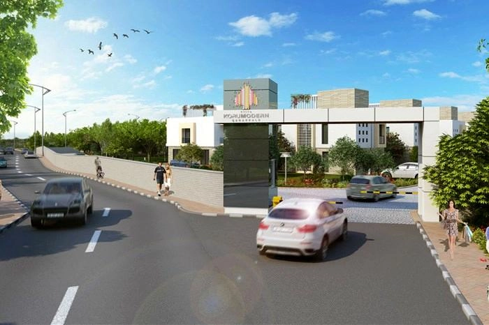 projects_photos