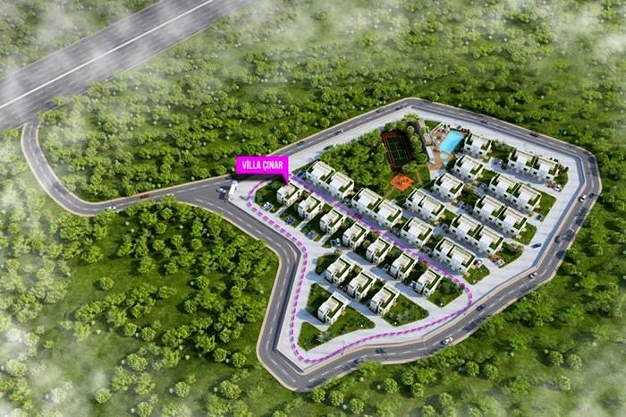 projects_photos