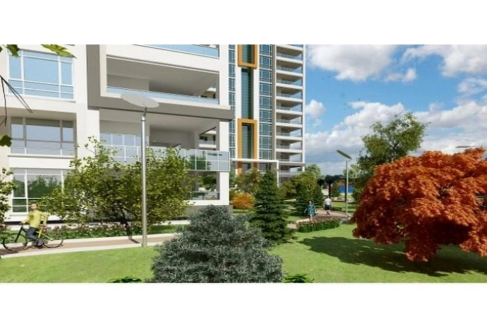 projects_photos