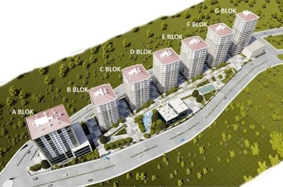 project_photos