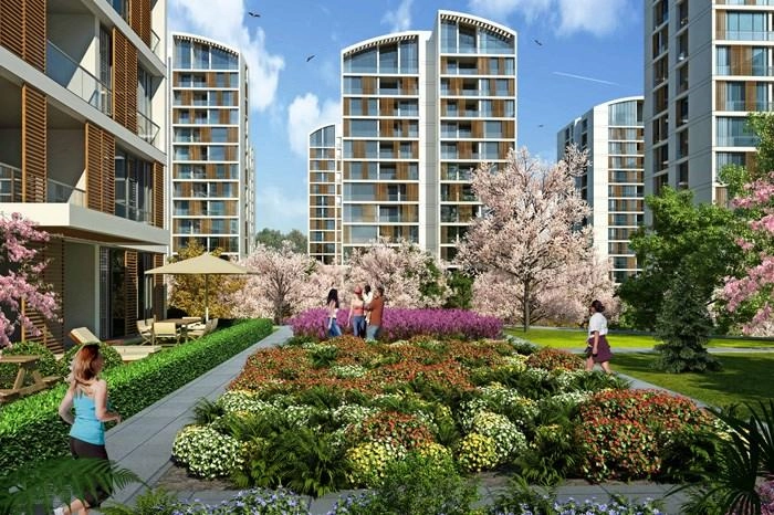 projects_photos