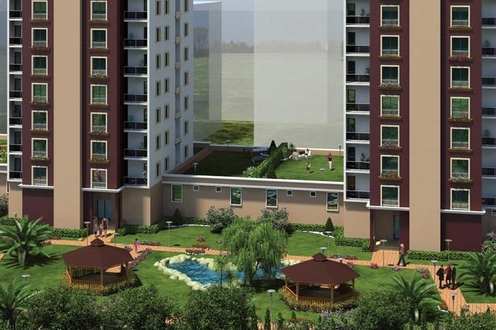 projects_photos