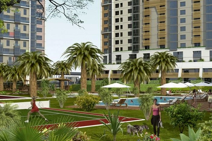projects_photos