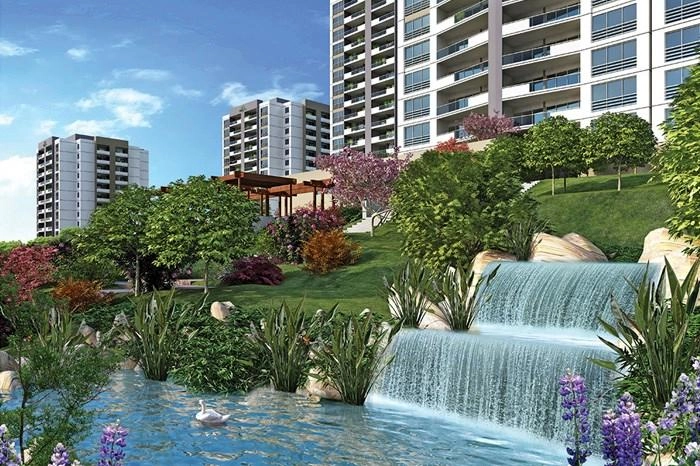 projects_photos