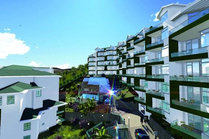 projects_photos
