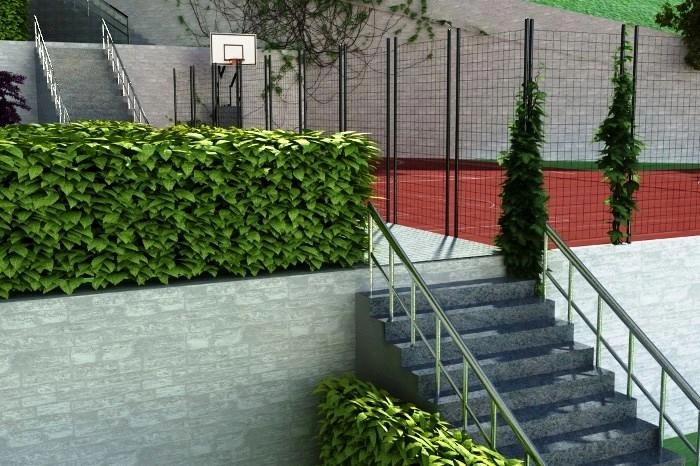 projects_photos