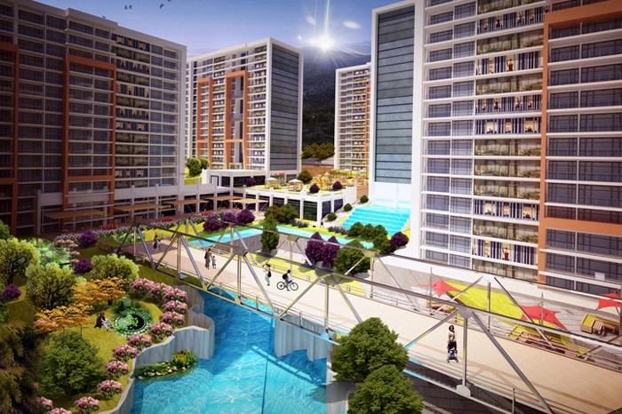 projects_photos