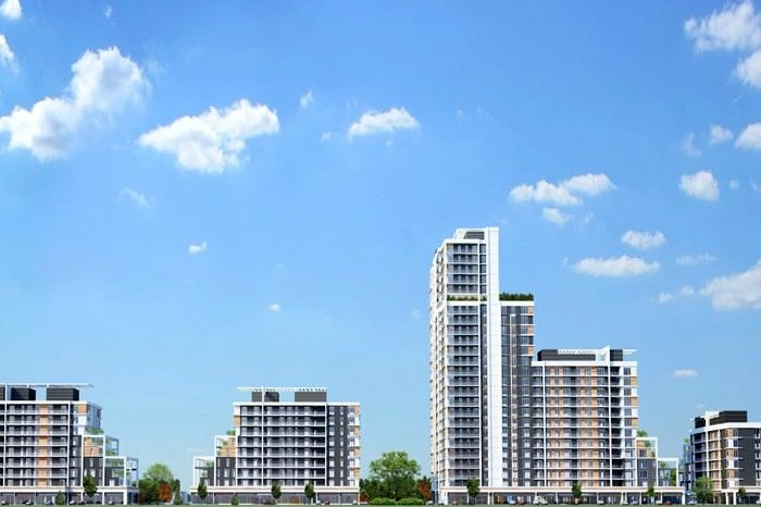 projects_photos