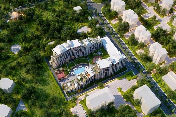 projects_photos