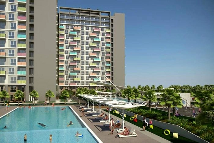 projects_photos
