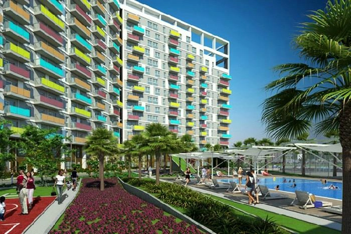projects_photos