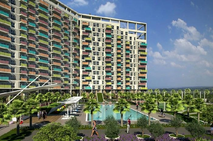 projects_photos